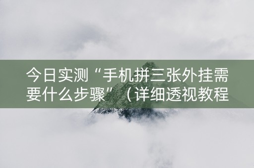 今日实测“手机拼三张外挂需要什么步骤”（详细透视教程）-哔哩哔哩