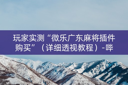 玩家实测“微乐广东麻将插件购买”（详细透视教程）-哔哩哔哩