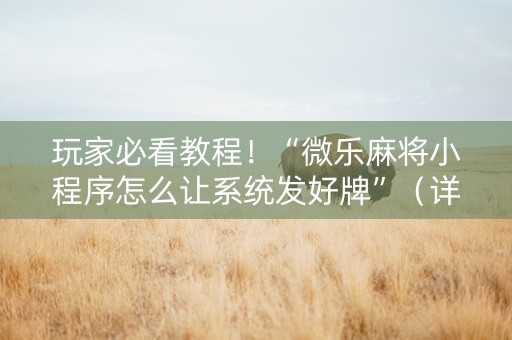玩家必看教程！“微乐麻将小程序怎么让系统发好牌”（详细透视教程）-哔哩哔哩