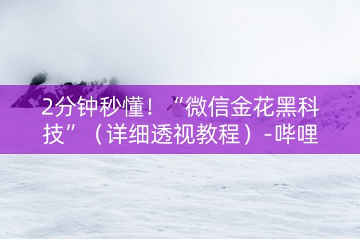 2分钟秒懂！“微信金花黑科技”（详细透视教程）-哔哩哔哩