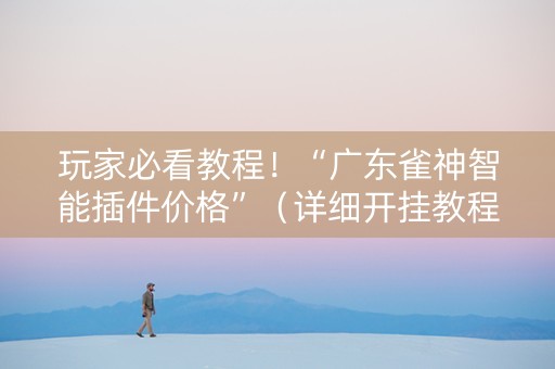 玩家必看教程！“广东雀神智能插件价格”（详细开挂教程）-哔哩哔哩