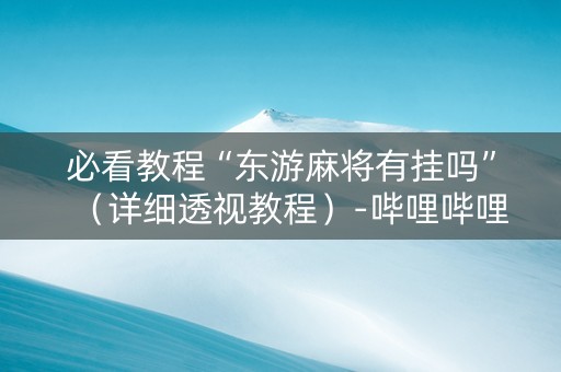 必看教程“东游麻将有挂吗”（详细透视教程）-哔哩哔哩