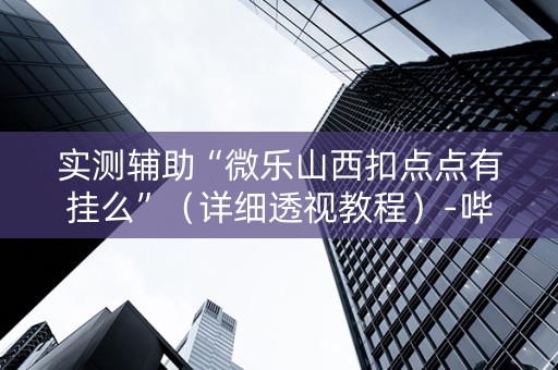 实测辅助“微乐山西扣点点有挂么”（详细透视教程）-哔哩哔哩