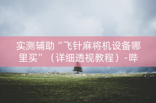 实测辅助“飞针麻将机设备哪里买”（详细透视教程）-哔哩哔哩