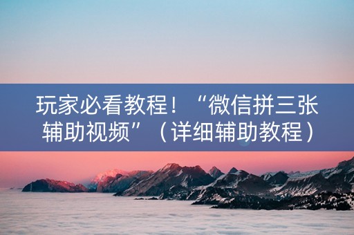 玩家必看教程！“微信拼三张辅助视频”（详细辅助教程）-哔哩哔哩