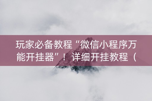 玩家必备教程“微信小程序万能开挂器”！详细开挂教程（确实真的有挂)-知乎