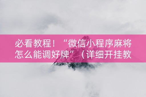 必看教程！“微信小程序麻将怎么能调好牌”（详细开挂教程）-哔哩哔哩