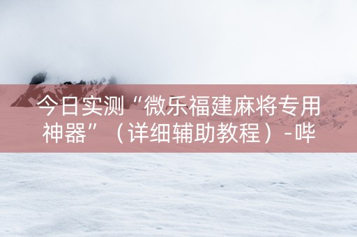 今日实测“微乐福建麻将专用神器”（详细辅助教程）-哔哩哔哩