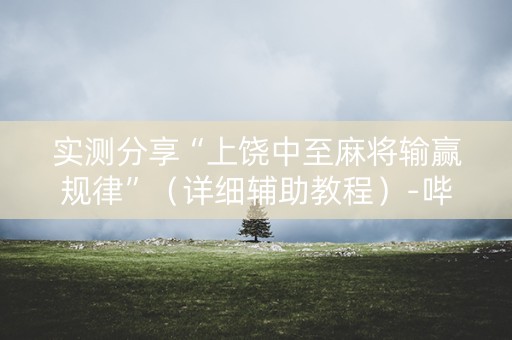 实测分享“上饶中至麻将输赢规律”（详细辅助教程）-哔哩哔哩