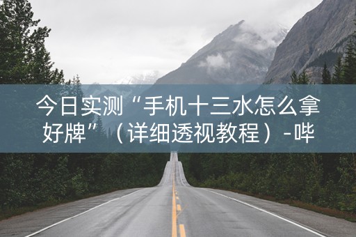 今日实测“手机十三水怎么拿好牌”（详细透视教程）-哔哩哔哩