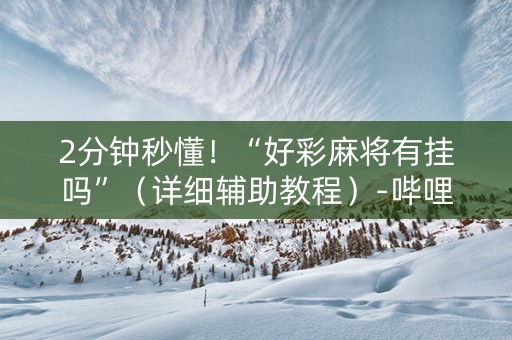 2分钟秒懂！“好彩麻将有挂吗”（详细辅助教程）-哔哩哔哩
