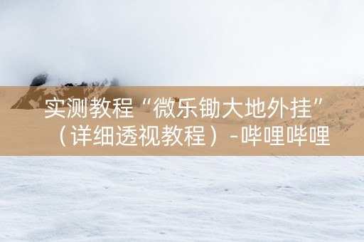 实测教程“微乐锄大地外挂”（详细透视教程）-哔哩哔哩