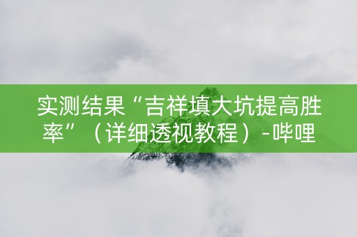 实测结果“吉祥填大坑提高胜率”（详细透视教程）-哔哩哔哩