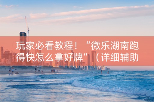 玩家必看教程！“微乐湖南跑得快怎么拿好牌”（详细辅助教程）-哔哩哔哩