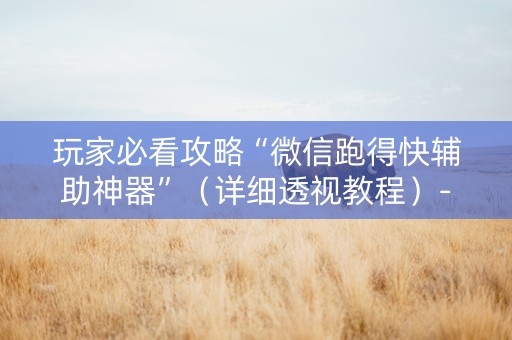 玩家必看攻略“微信跑得快辅助神器”（详细透视教程）-哔哩哔哩