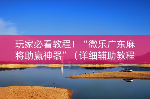 玩家必看教程！“微乐广东麻将助赢神器”（详细辅助教程）-哔哩哔哩