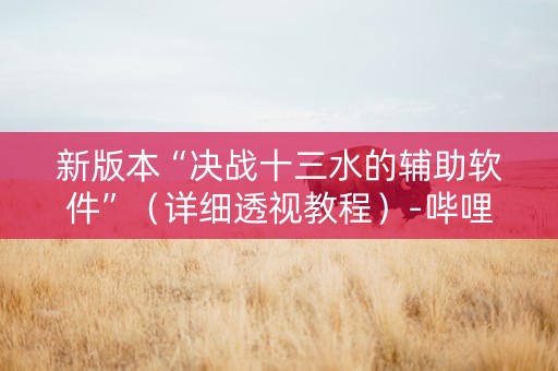新版本“决战十三水的辅助软件”（详细透视教程）-哔哩哔哩