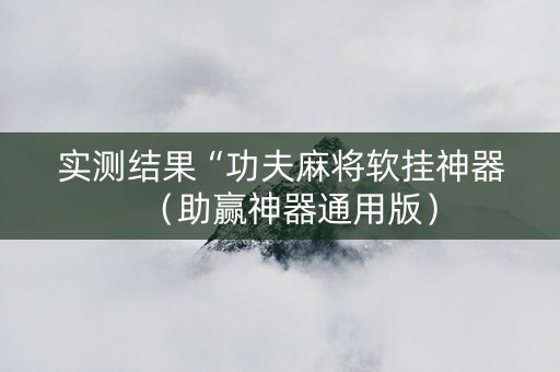实测结果“功夫麻将软挂神器（助赢神器通用版）