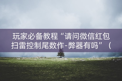 玩家必备教程“请问微信红包扫雷控制尾数作-弊器有吗”（详细透视教程）-哔哩哔哩