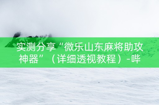 实测分享“微乐山东麻将助攻神器”（详细透视教程）-哔哩哔哩