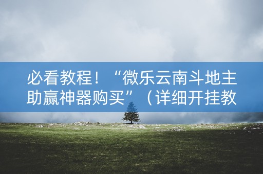 必看教程！“微乐云南斗地主助赢神器购买”（详细开挂教程）-哔哩哔哩