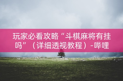 玩家必看攻略“斗棋麻将有挂吗”（详细透视教程）-哔哩哔哩