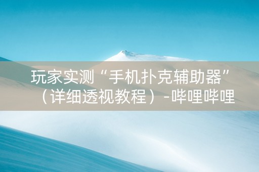 玩家实测“手机扑克辅助器”（详细透视教程）-哔哩哔哩