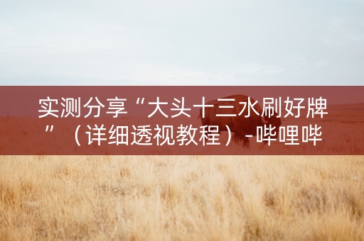 实测分享“大头十三水刷好牌”（详细透视教程）-哔哩哔哩