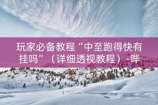 玩家必备教程“中至跑得快有挂吗”（详细透视教程）-哔哩哔哩