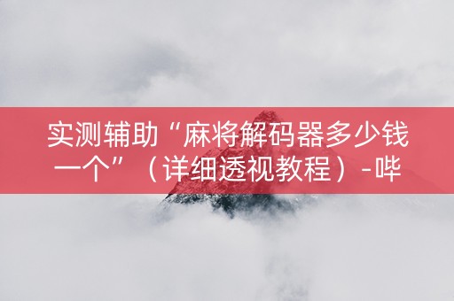 实测辅助“麻将解码器多少钱一个”（详细透视教程）-哔哩哔哩
