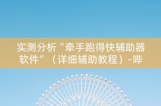 实测分析“牵手跑得快辅助器软件”（详细辅助教程）-哔哩哔哩