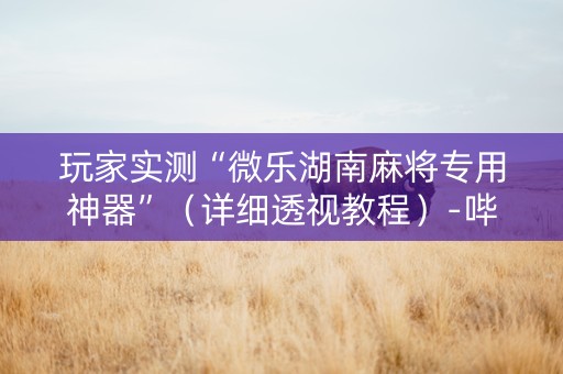 玩家实测“微乐湖南麻将专用神器”（详细透视教程）-哔哩哔哩
