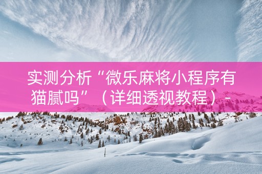 实测分析“微乐麻将小程序有猫腻吗”（详细透视教程）-哔哩哔哩