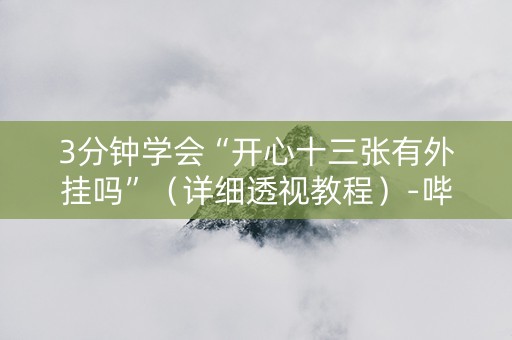 3分钟学会“开心十三张有外挂吗”（详细透视教程）-哔哩哔哩