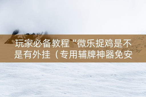 玩家必备教程“微乐捉鸡是不是有外挂（专用辅牌神器免安装）
