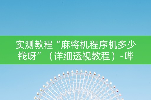 实测教程“麻将机程序机多少钱呀”（详细透视教程）-哔哩哔哩