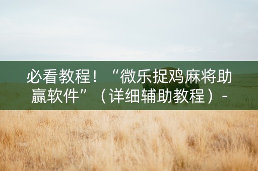 必看教程！“微乐捉鸡麻将助赢软件”（详细辅助教程）-哔哩哔哩