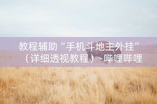 教程辅助“手机斗地主外挂”（详细透视教程）-哔哩哔哩