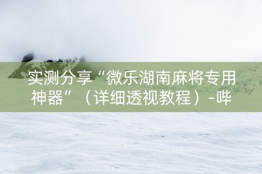 实测分享“微乐湖南麻将专用神器”（详细透视教程）-哔哩哔哩