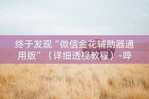 终于发现“微信金花辅助器通用版”（详细透视教程）-哔哩哔哩