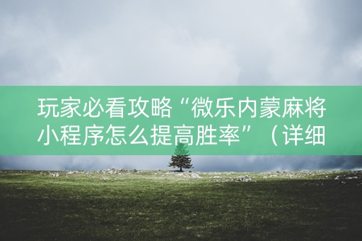 玩家必看攻略“微乐内蒙麻将小程序怎么提高胜率”（详细透视教程）-哔哩哔哩