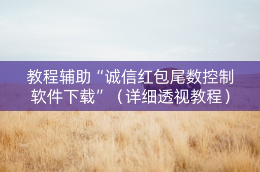 教程辅助“诚信红包尾数控制软件下载”（详细透视教程）-哔哩哔哩
