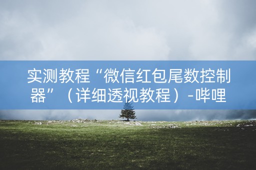 实测教程“微信红包尾数控制器”（详细透视教程）-哔哩哔哩