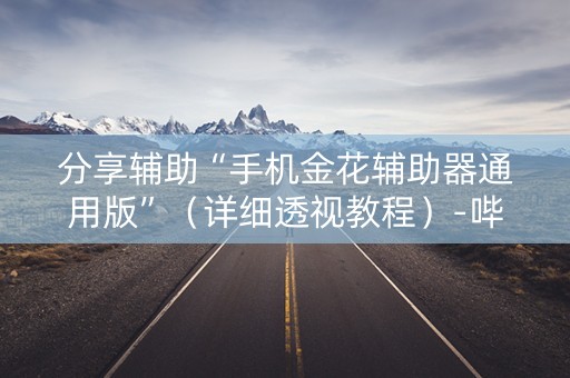 分享辅助“手机金花辅助器通用版”（详细透视教程）-哔哩哔哩