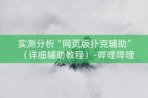 实测分析“网页版扑克辅助”（详细辅助教程）-哔哩哔哩