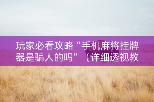 玩家必看攻略“手机麻将挂牌器是骗人的吗”（详细透视教程）-哔哩哔哩