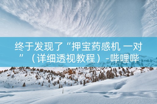 终于发现了“押宝药感机 一对”（详细透视教程）-哔哩哔哩