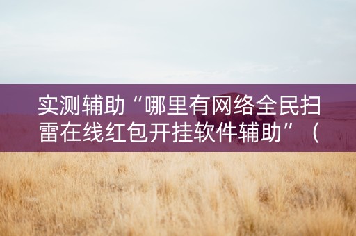 实测辅助“哪里有网络全民扫雷在线红包开挂软件辅助”（详细透视教程）-哔哩哔哩