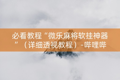 必看教程“微乐麻将软挂神器”（详细透视教程）-哔哩哔哩