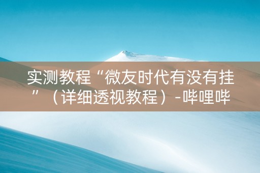 实测教程“微友时代有没有挂”（详细透视教程）-哔哩哔哩